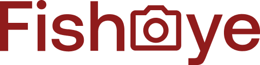 Logo du site